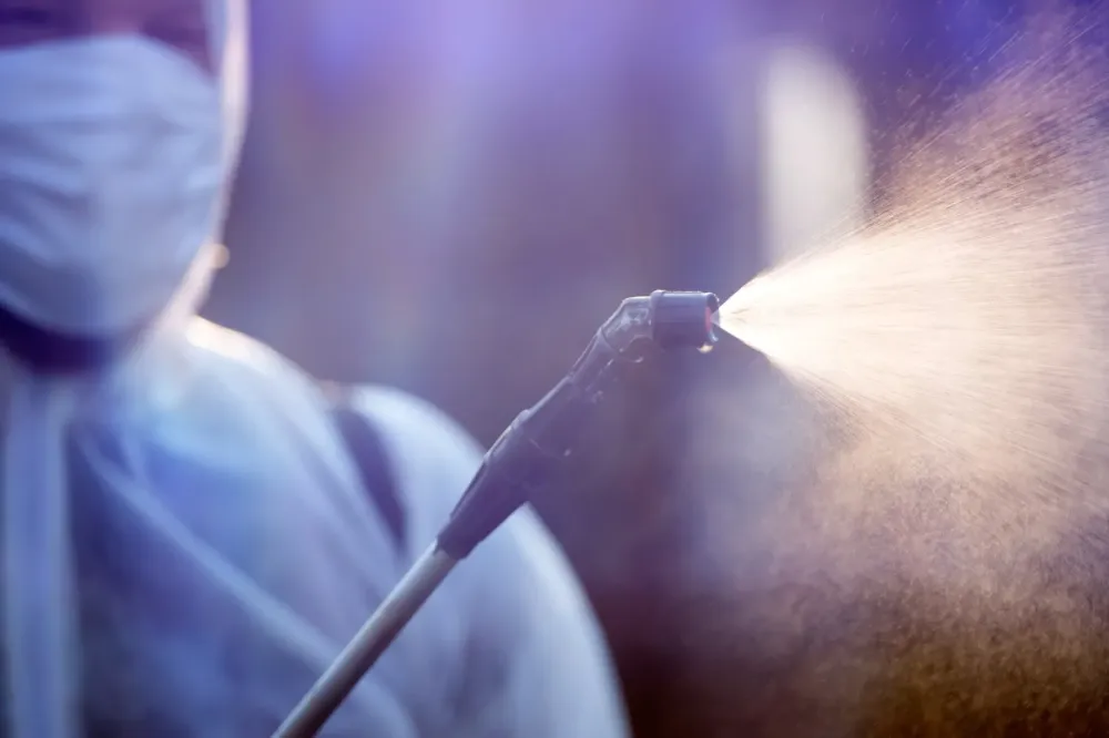 Dératisation près de Saint‑Amand‑Montrond